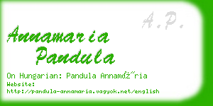 annamaria pandula business card